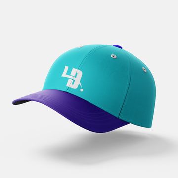 Let's Dink branded cap
