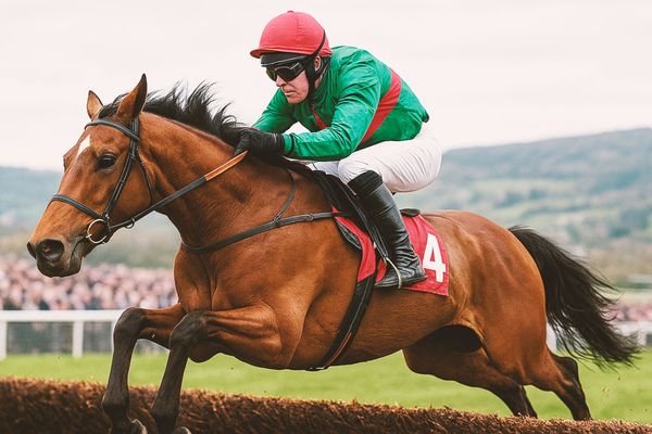 The Cheltenham Gold Cup